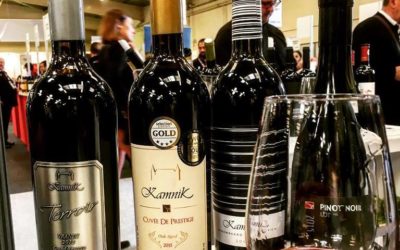 3 journées de partage à Vinisud – Février 2018