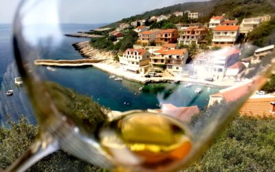 Une saison riche en Wine Tours – Avril/Mai/Juin